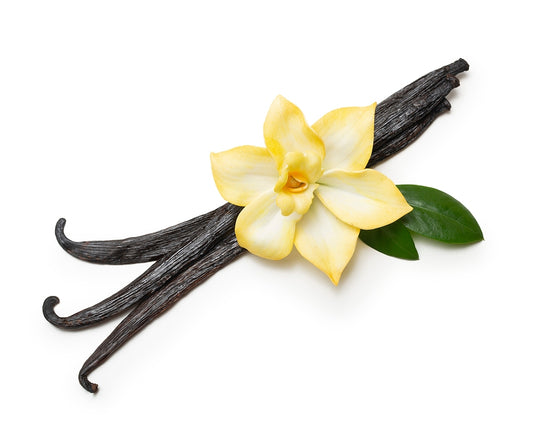 Vanilla Musk Magic: A Fragrant Symphony of Opulence in Simply Fancy